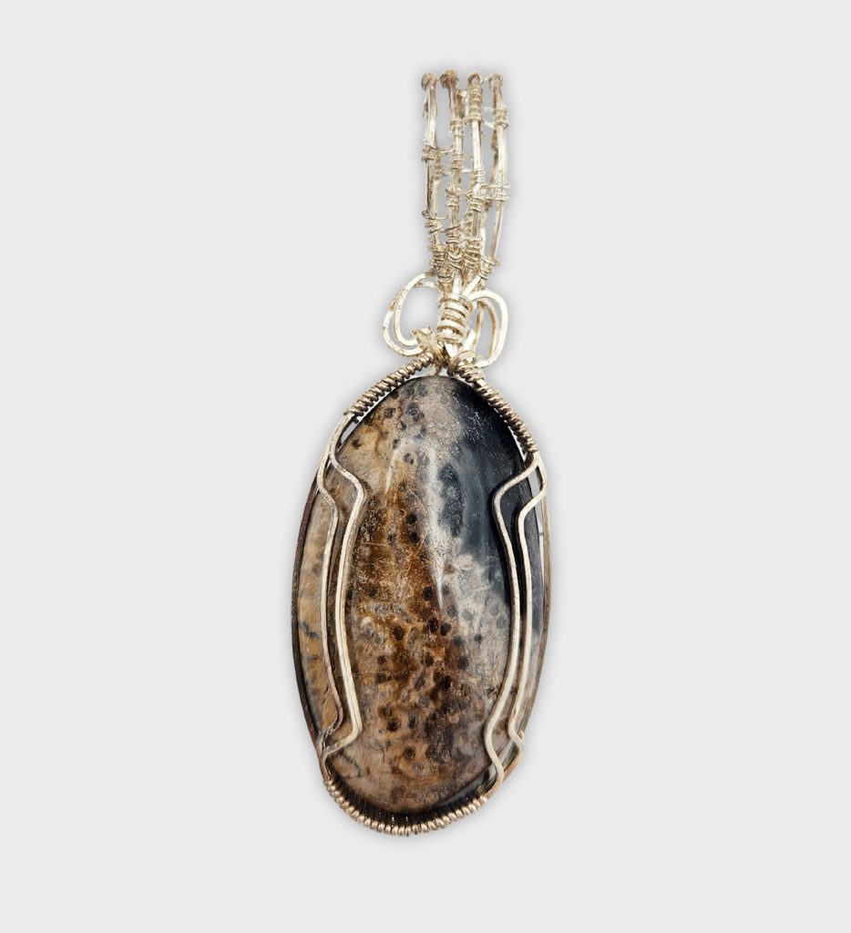 Petrified Palm