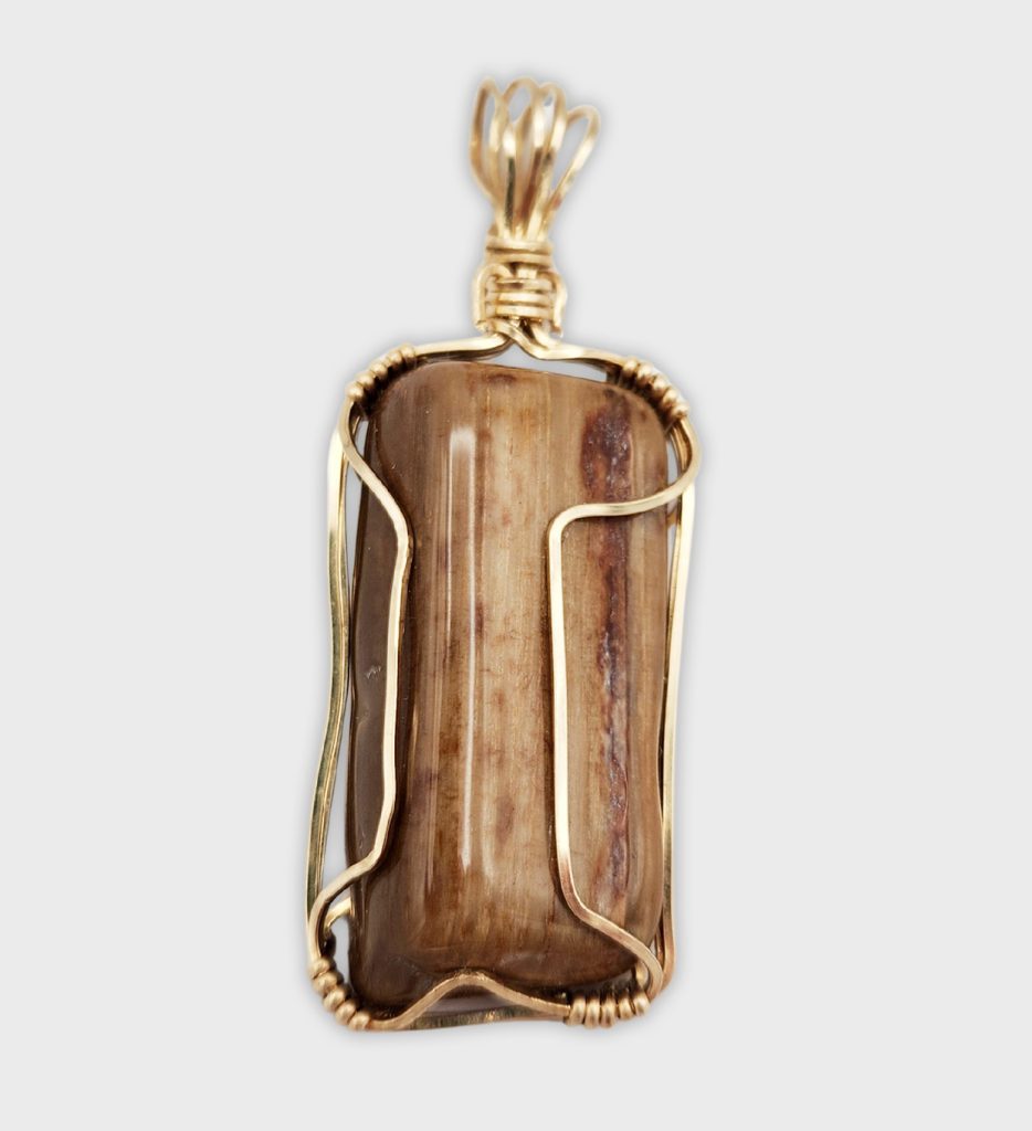 Petrified Wood