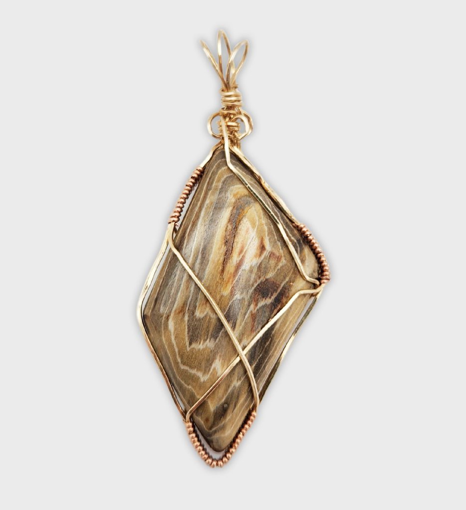 Petrified Wood