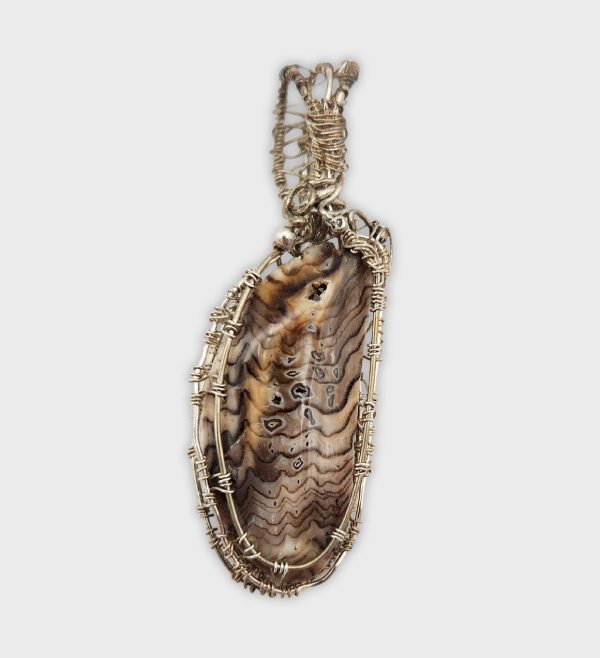 Hells Petrified Wood