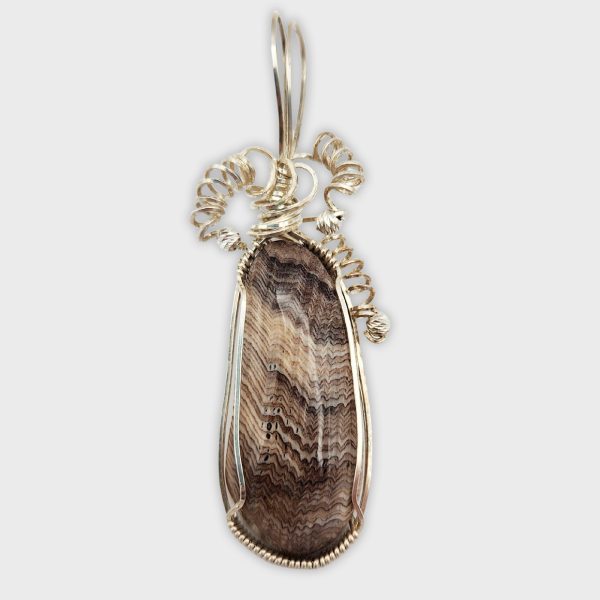 Hells Petrified Wood