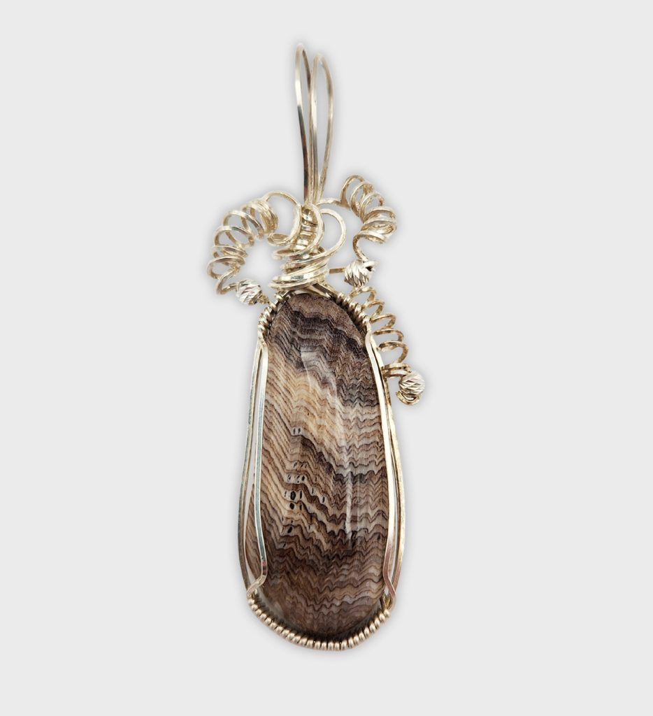 Hells Petrified Wood