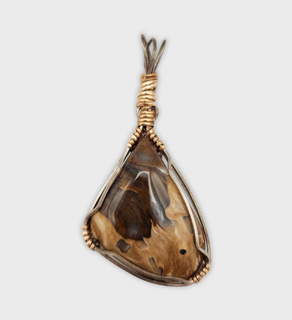 Petrified Wood