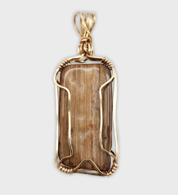 Petrified Wood with Gold Wrap