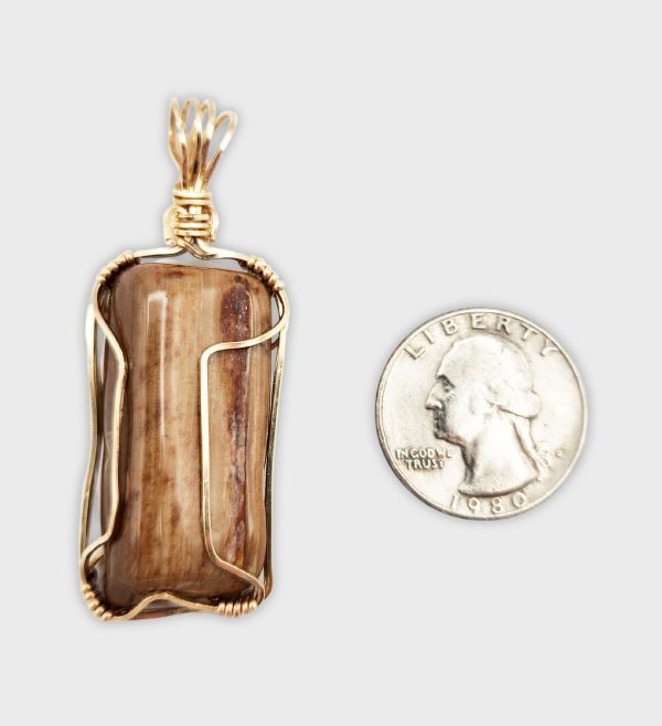 Petrified Wood with Gold Wrap