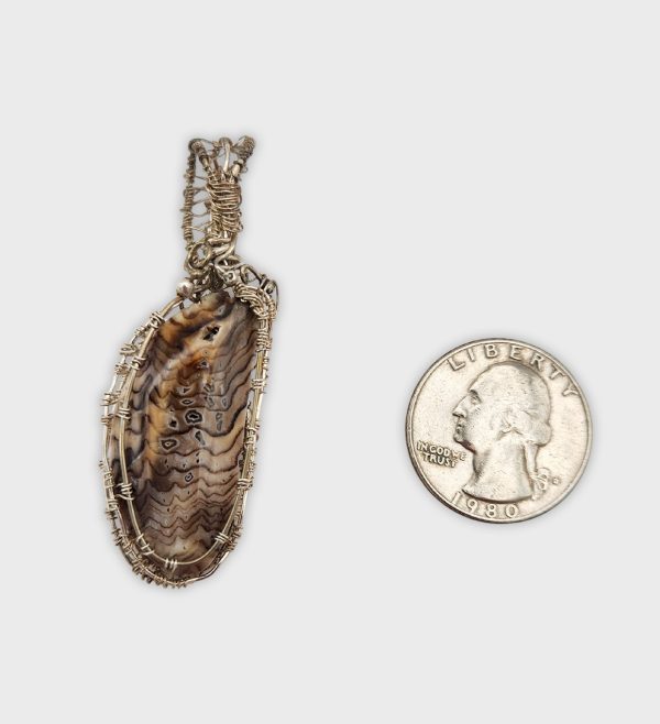 Hells Petrified Wood