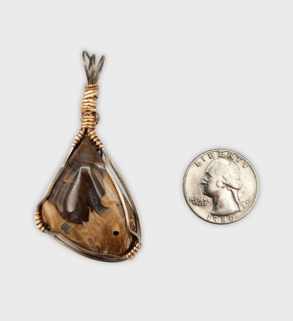 Petrified Wood with Sterling Silver and Gold Wrap