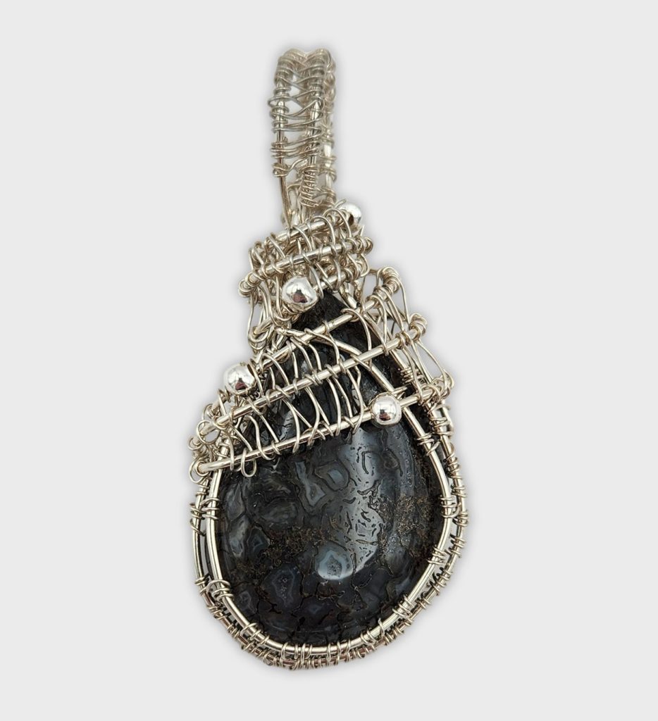 Black Dinosaur Bone